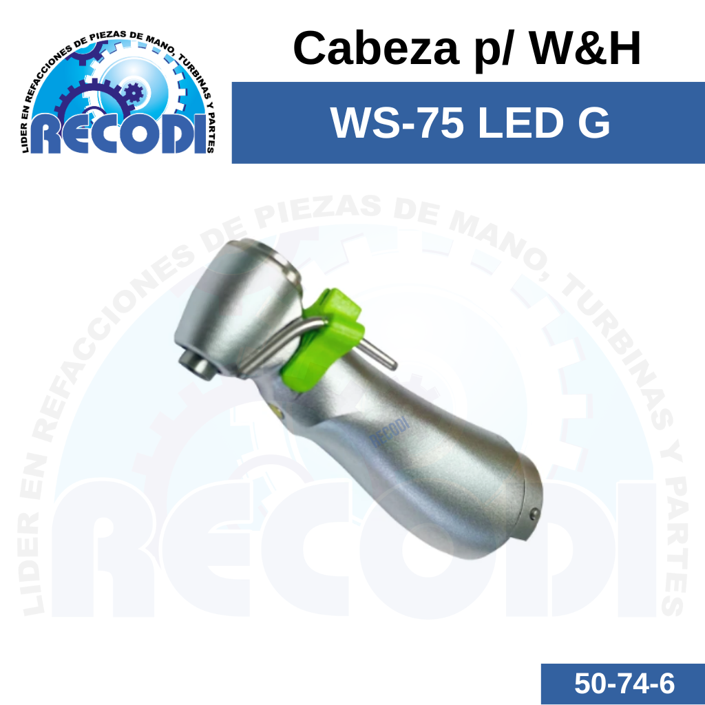 Cabeza p/ WS-75