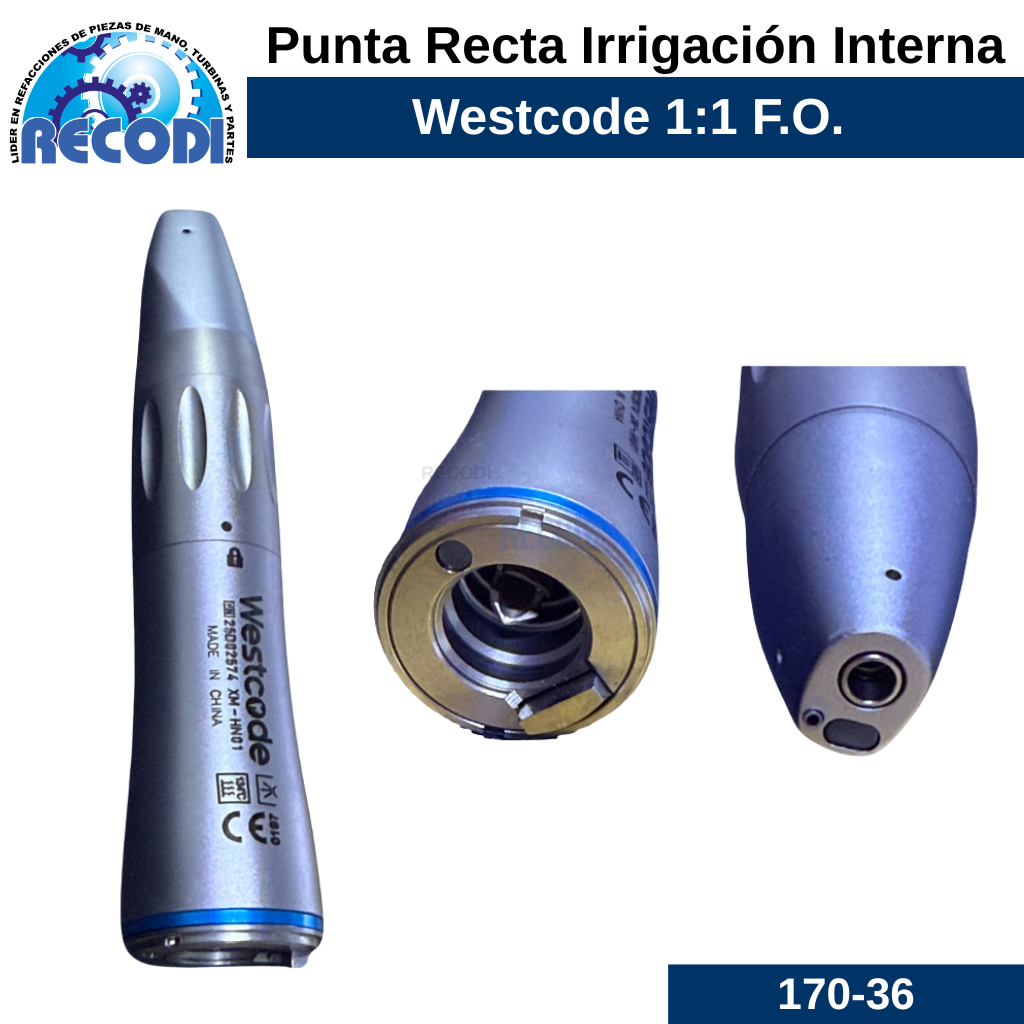 Punta Recta tipo e