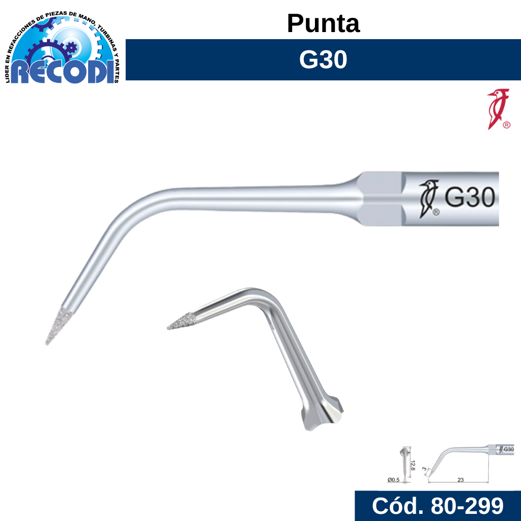 Punta G30